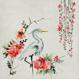 Asian crane bird. Free illustration for personal and commercial use.