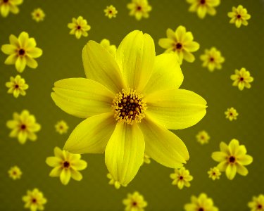 Yellow flower flower bokeh effect. Free illustration for personal and commercial use.