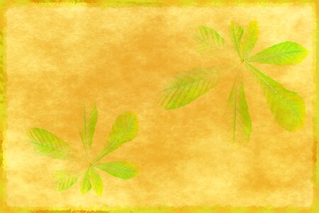 Template leaf romance. Free illustration for personal and commercial use.