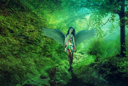 Model wings forest. Free illustration for personal and commercial use.