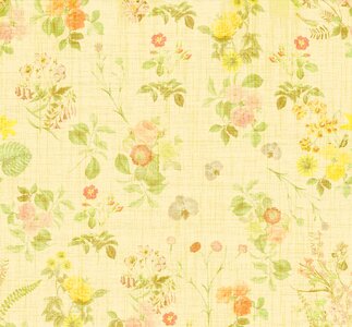 Vintage old background. Free illustration for personal and commercial use.