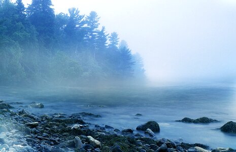 Foggy morning lake. Free illustration for personal and commercial use.
