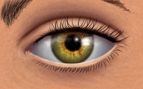 Iris vision eye. Free illustration for personal and commercial use.