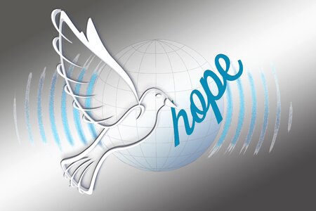 Perspective harmony peace dove. Free illustration for personal and commercial use.