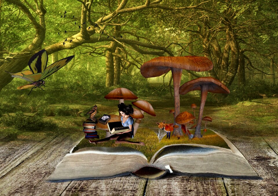 Books fantasy fuchs. Free illustration for personal and commercial use.