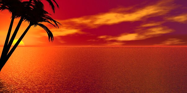 Sunset mood caribbean. Free illustration for personal and commercial use.