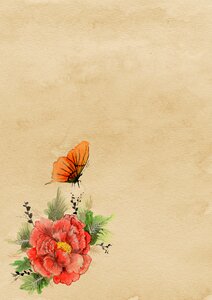 Flower butterfly parchment. Free illustration for personal and commercial use.
