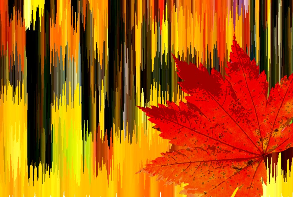 Leaves fall foliage fall leaves. Free illustration for personal and commercial use.