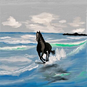 Sea north sea stallion nostrils. Free illustration for personal and commercial use.