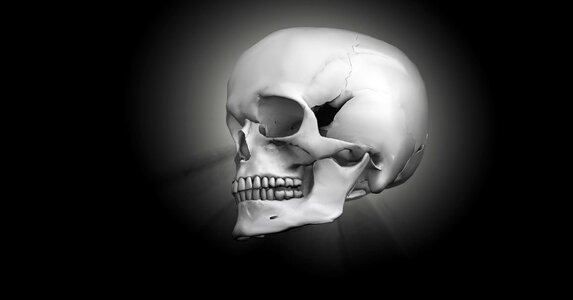 Skeleton 3d-model dead. Free illustration for personal and commercial use.