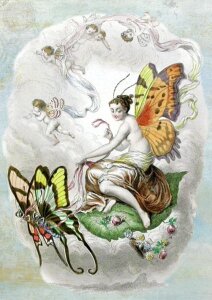 Butterfly fantasy forest. Free illustration for personal and commercial use.