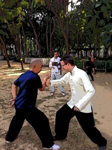 Martial taijiquan Free illustrations. Free illustration for personal and commercial use.