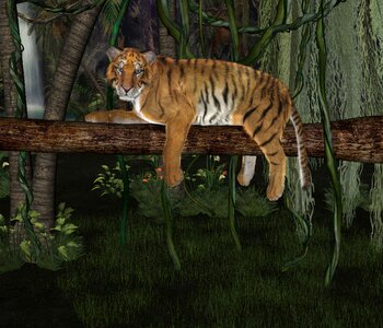 Jungle animal outdoor. Free illustration for personal and commercial use.