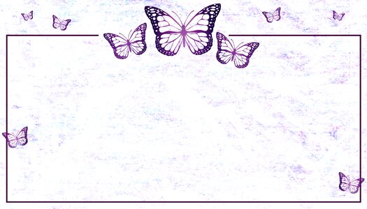 Shape rectangle butterfly. Free illustration for personal and commercial use.