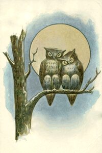 Full moon nocturne nature. Free illustration for personal and commercial use.