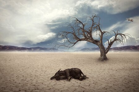 Dry global warming environment. Free illustration for personal and commercial use.
