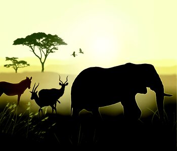Savanna animals sunset. Free illustration for personal and commercial use.