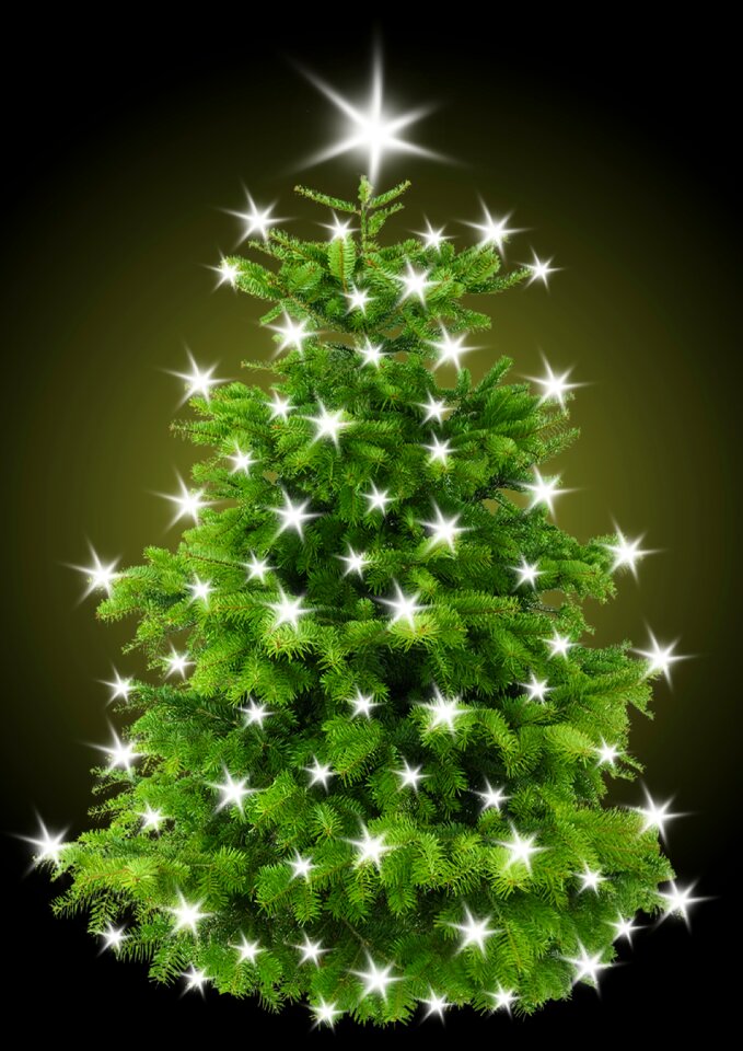 Tree star lighting. Free illustration for personal and commercial use.