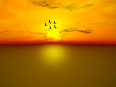 Flying sunset sky. Free illustration for personal and commercial use.