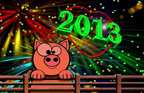 2013 luck pig. Free illustration for personal and commercial use.
