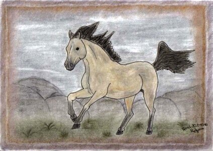 Freedom drawing horse. Free illustration for personal and commercial use.