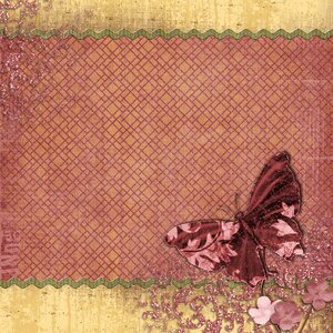 Butterfly square decoration. Free illustration for personal and commercial use.