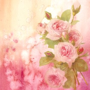 Pink roses bouquet. Free illustration for personal and commercial use.