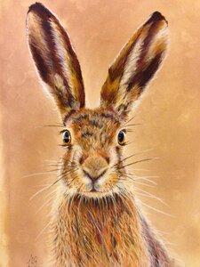 Pastel drawing animal. Free illustration for personal and commercial use.