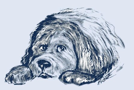 Pet canine purebred. Free illustration for personal and commercial use.