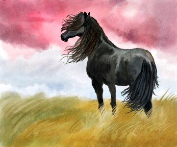Black wind animal. Free illustration for personal and commercial use.