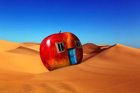 Windows door desert. Free illustration for personal and commercial use.