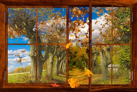Leaves fall foliage window. Free illustration for personal and commercial use.