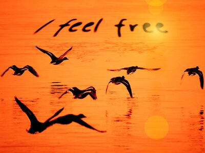 Free freedom feeling. Free illustration for personal and commercial use.
