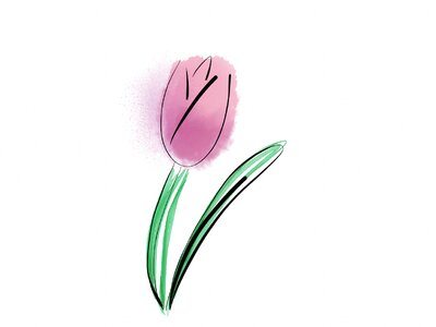 Floral spring plant. Free illustration for personal and commercial use.