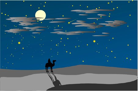 Moonlight star romantic. Free illustration for personal and commercial use.