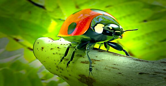 Nature insect 3d. Free illustration for personal and commercial use.