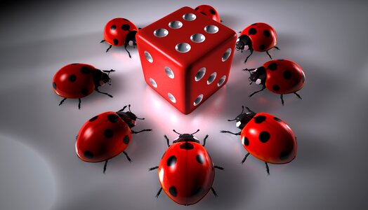 Beetle ladybug cube round. Free illustration for personal and commercial use.