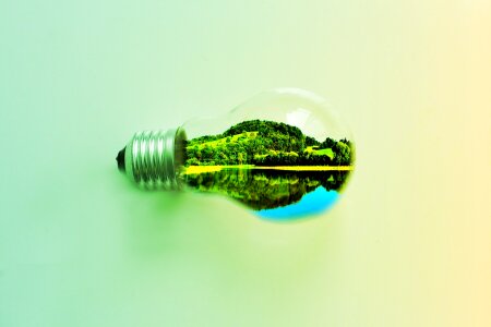 Nature lightbulb Free illustrations. Free illustration for personal and commercial use.