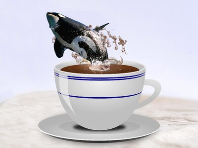 Cheerfulness energy killer whale. Free illustration for personal and commercial use.