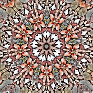 Kaleidoscope brown mandala Free illustrations. Free illustration for personal and commercial use.
