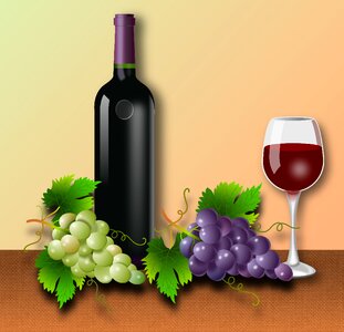 Vine vineyard wine. Free illustration for personal and commercial use.