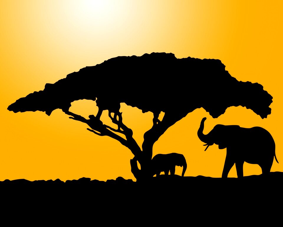 Animals black silhouette. Free illustration for personal and commercial use.