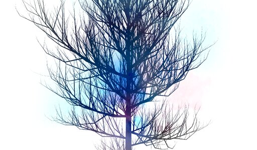 Nature season branch. Free illustration for personal and commercial use.