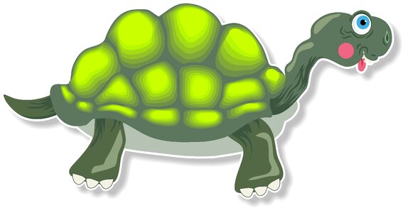 Tortoise reptile shell. Free illustration for personal and commercial use.