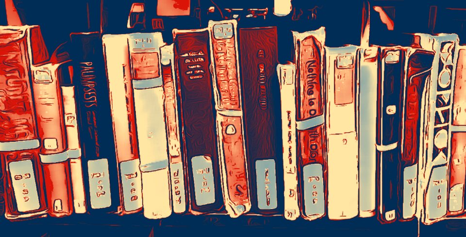 Book shelf shelves library books. Free illustration for personal and commercial use.