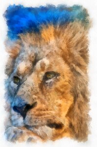 Male big cat watercolour. Free illustration for personal and commercial use.