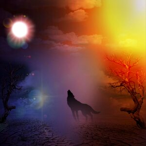 Night sun wolf. Free illustration for personal and commercial use.