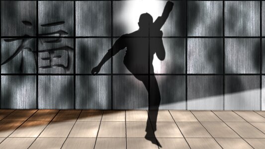 Kick boxing silhouette Free illustrations. Free illustration for personal and commercial use.