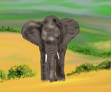 African bush elephant safari baby elephant. Free illustration for personal and commercial use.