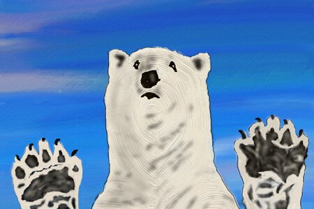 White fur animal white bear. Free illustration for personal and commercial use.